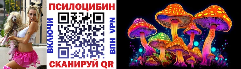сколько стоит  Кыштым  Псилоцибиновые грибы Psilocybine cubensis 