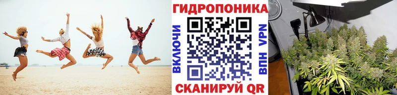 где купить наркотик  Кыштым  мега вход  Марихуана план 